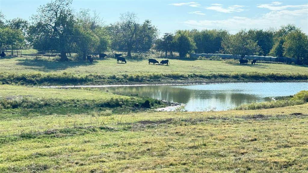 1258 County Road 352 Road - Photo 1