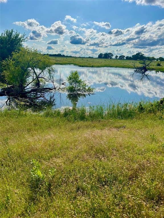 TBD 104 Acres Fm 103 - Photo 1