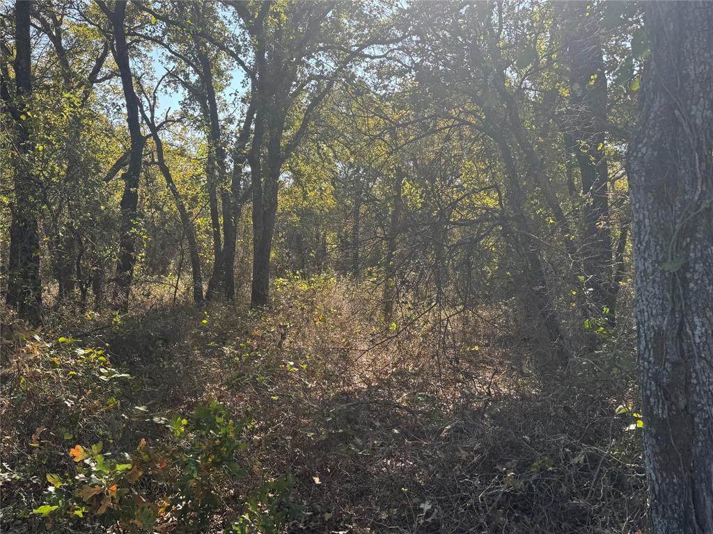 2139 2 Bush Road - Photo 1