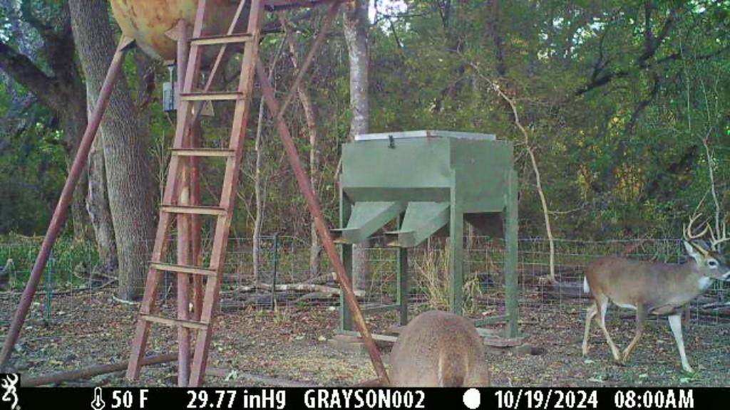 000 Bee Creek Road - Photo 1