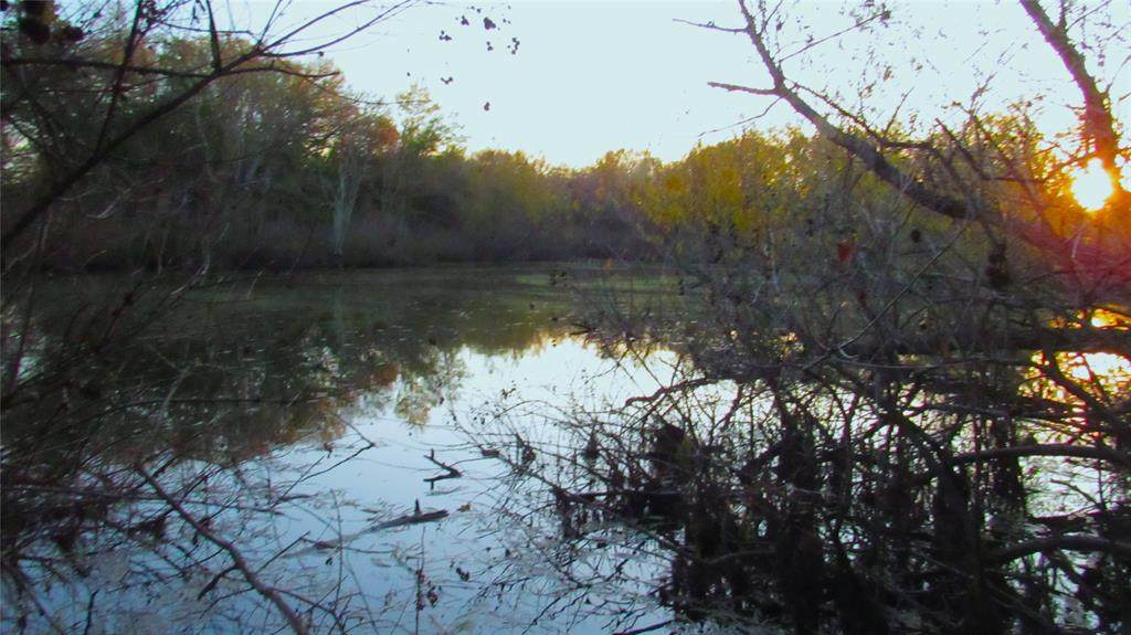 TBD County Road 4736 - Photo 1
