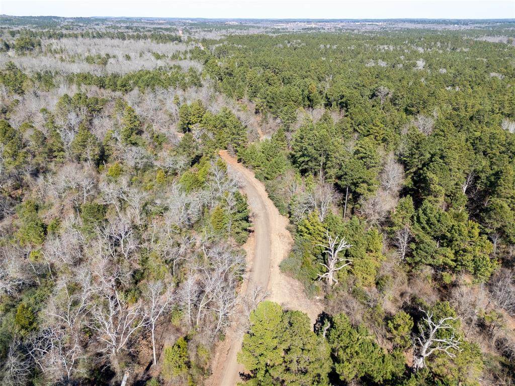 00000 County Road 442 - Photo 1