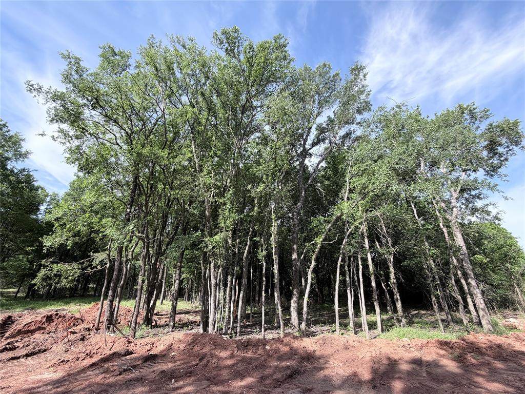 Lot 15 Lakewood Drive - Photo 1