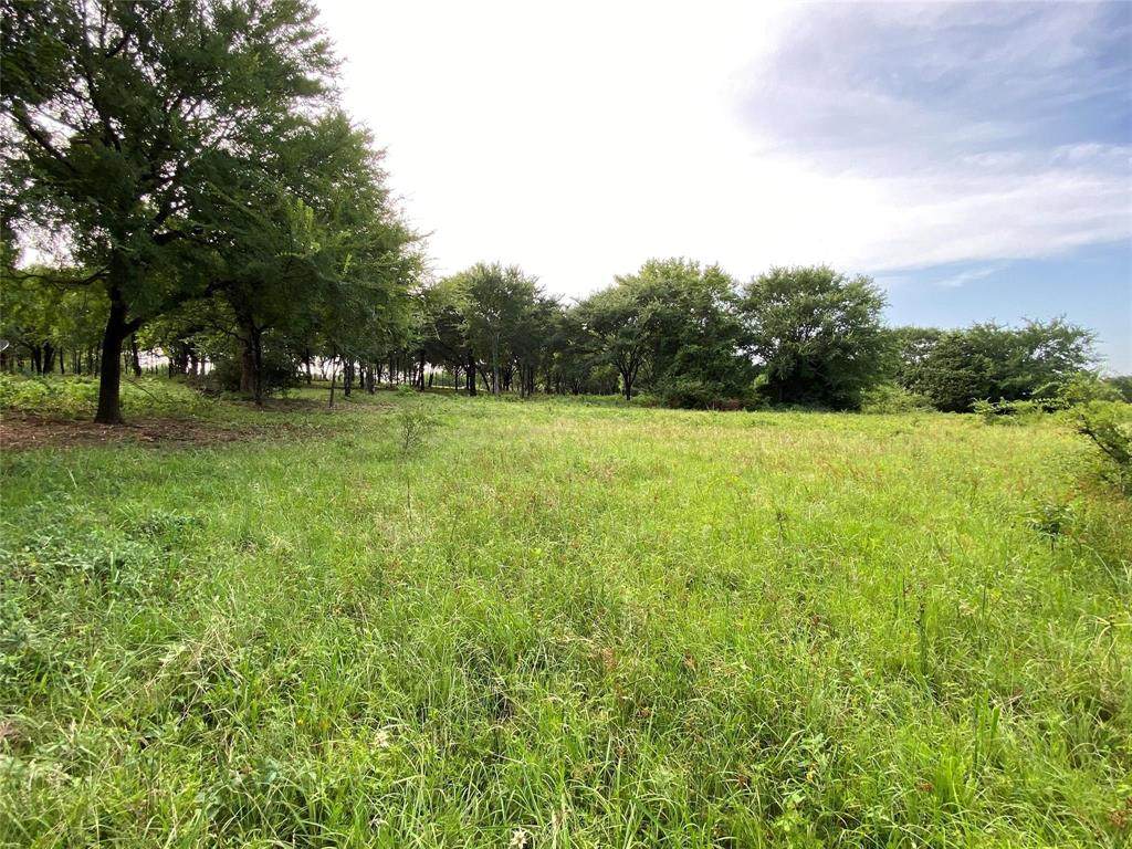 TBD Farm To Market 455 - Photo 1