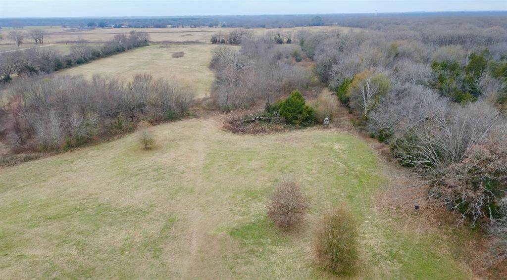 30 Acre County Road 2425 - Photo 1
