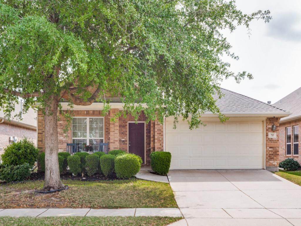 705 Lovebird Lane - Photo 1