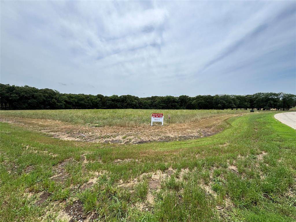 Lot 48 White Tail Way - Photo 1