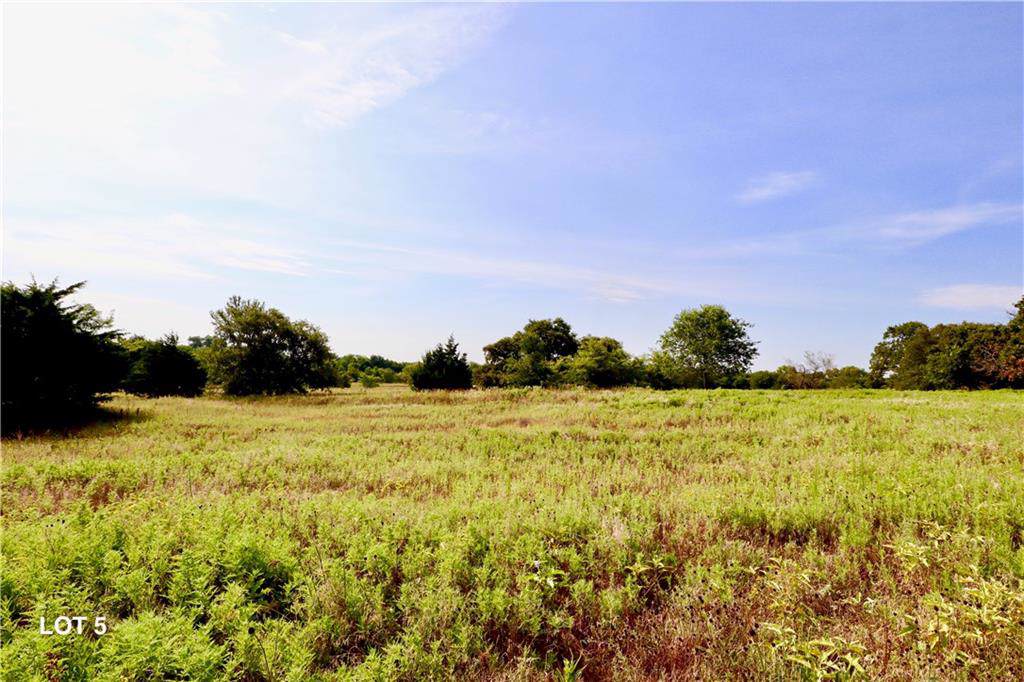 Tract 5 Private Road 2562 - Photo 1