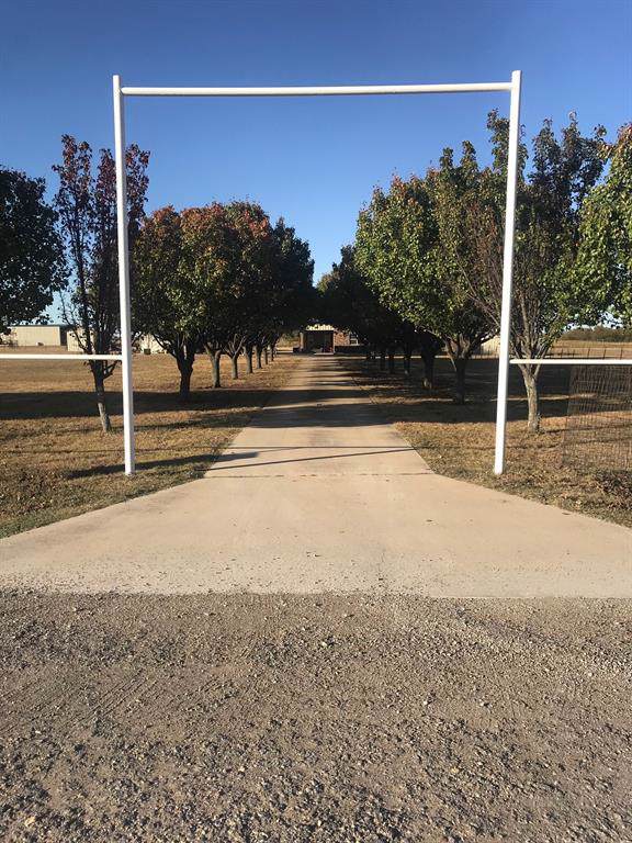 8618 Palmer Lane - Photo 1