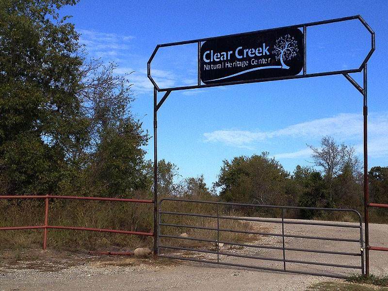 TBD Mingo & Collins Rd - Photo 1