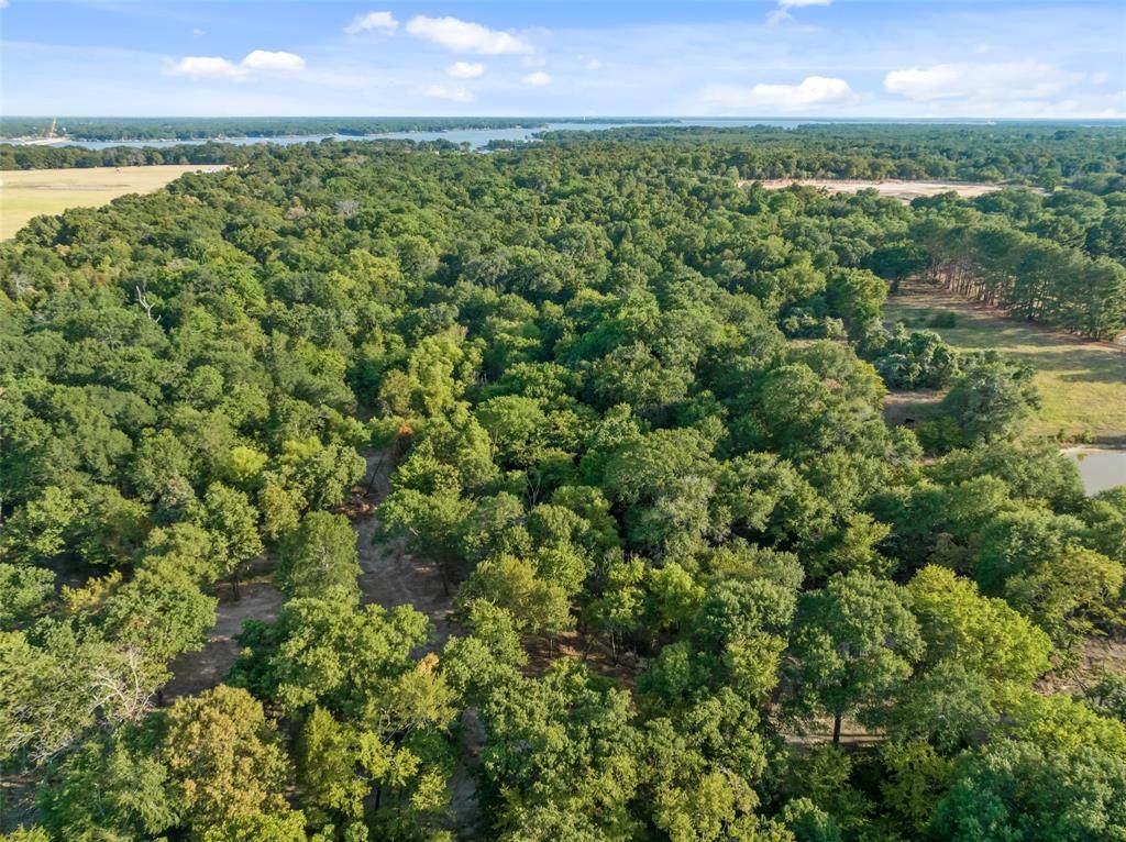 7798 County Road 2832 - Photo 1