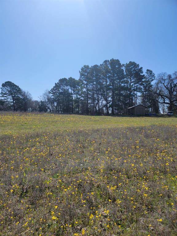 TBD An County Road 314 - Photo 1