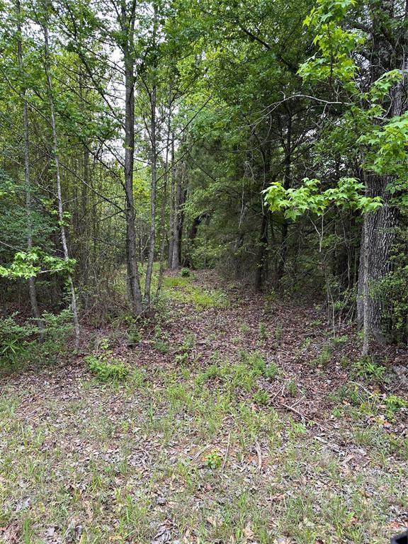 001 George Richey Road - Photo 1