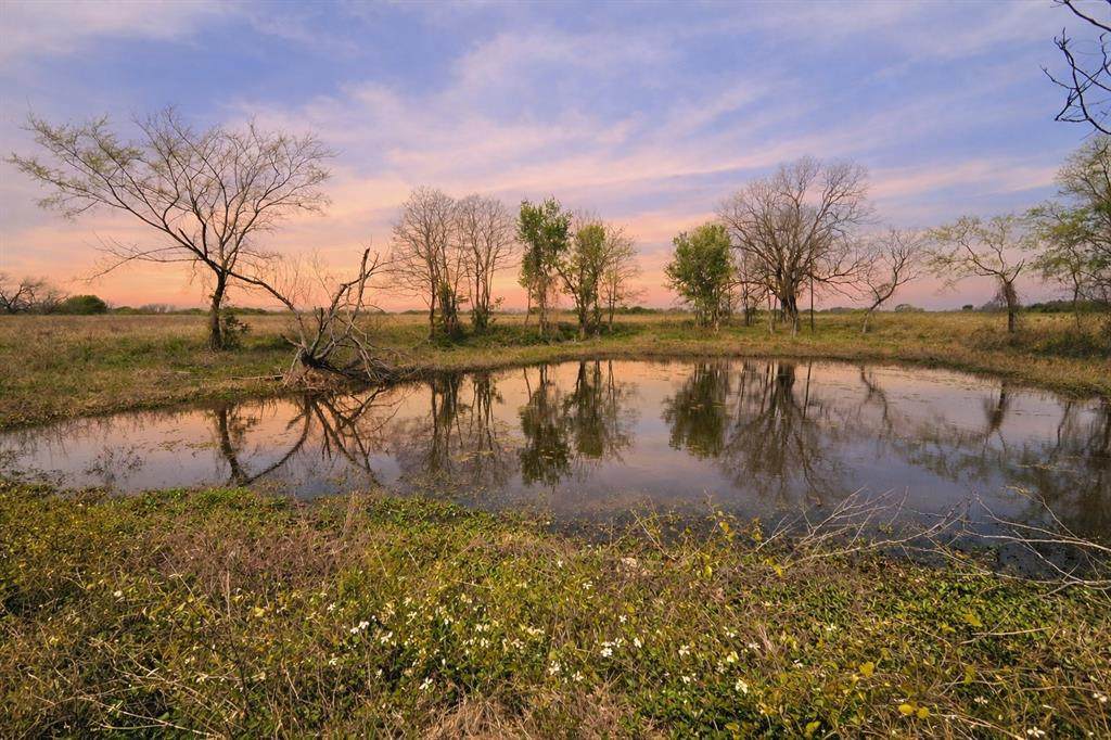 Lot 95 Stillwater Shores Drive - Photo 1