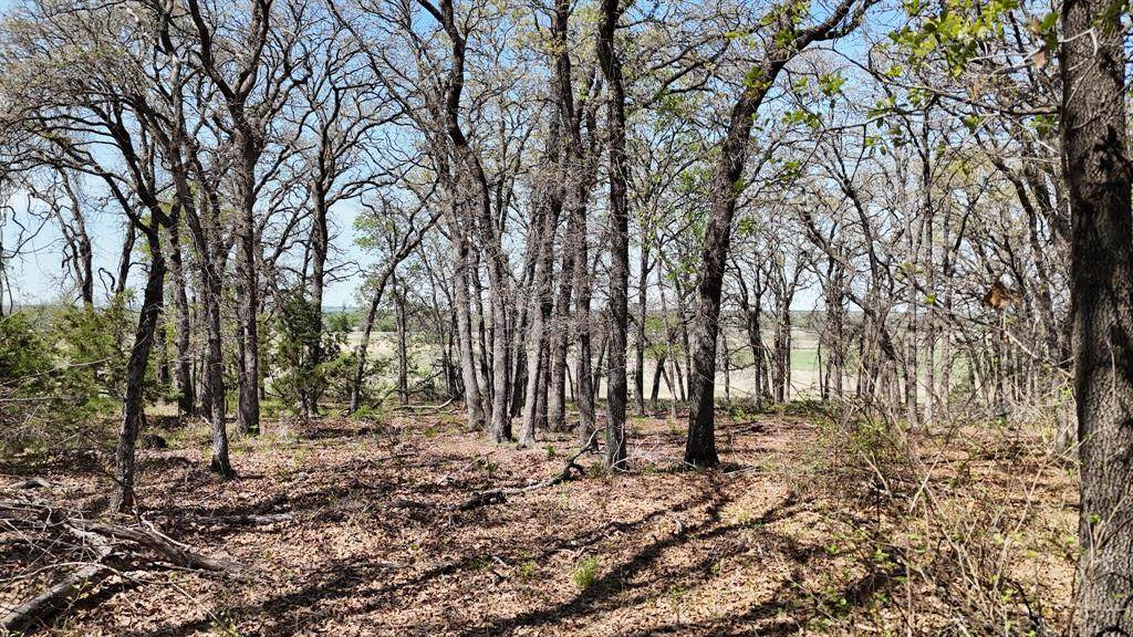 280 Private Road 2162 - Photo 1