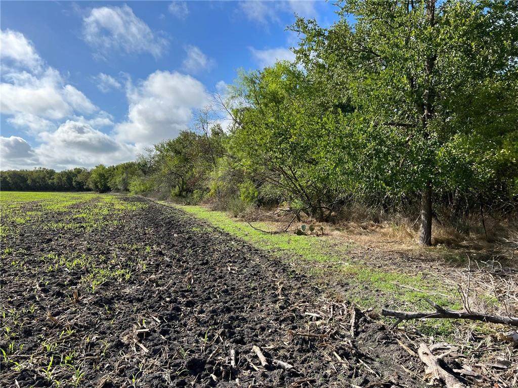 TBD Cr 117 Road - Photo 1