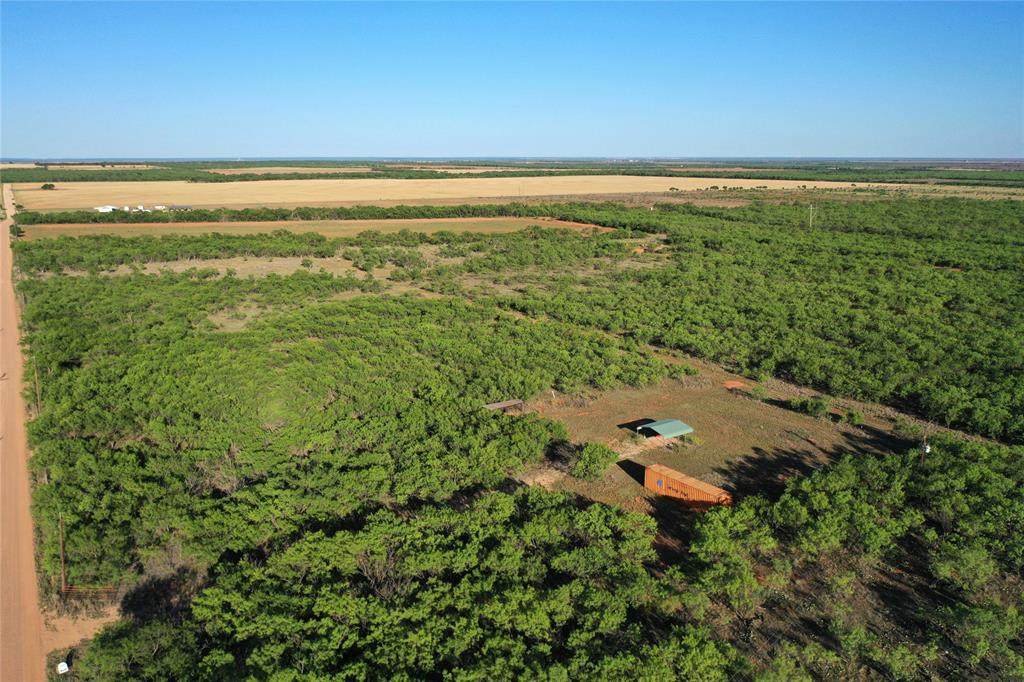 TBD Kimbrough Road - Photo 1