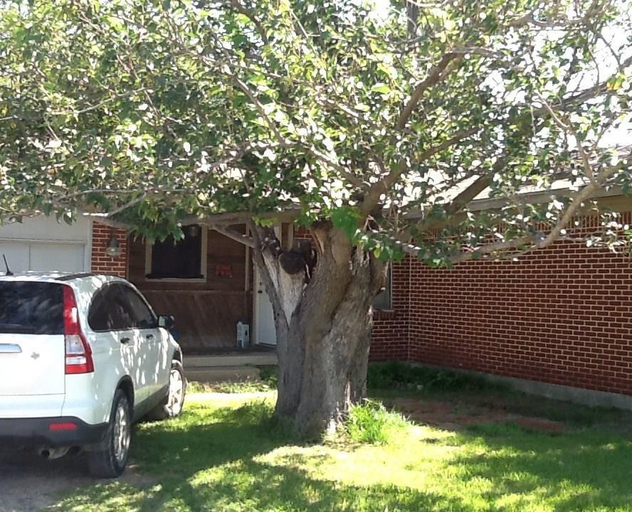 2115 Oak Grove - Photo 1