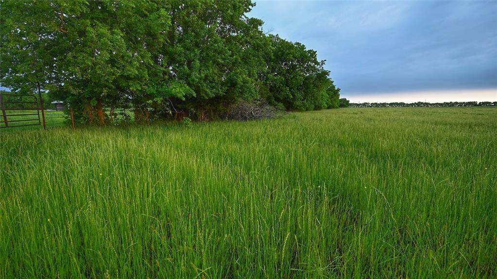 TBD Fm 1752 Road - Photo 1