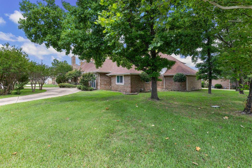 110 Owl Tree - Photo 1