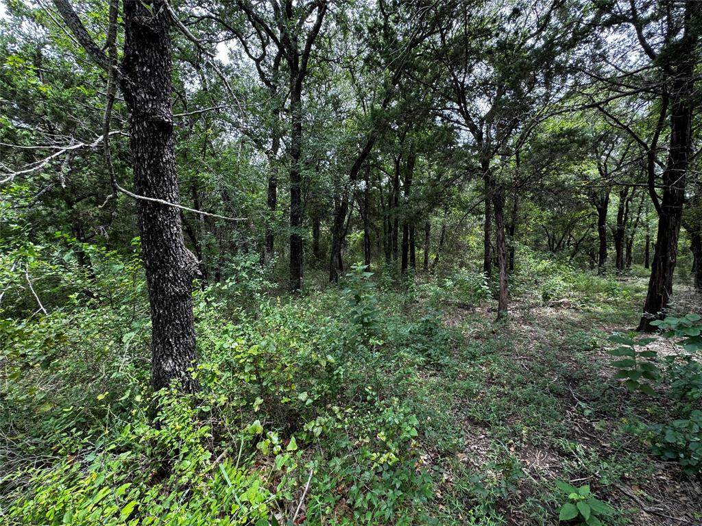 4044 High Point Drive - Photo 1