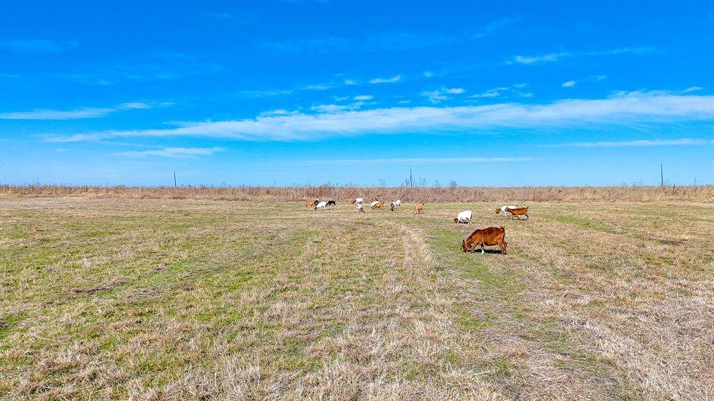 Lot 22 Private Road 1270A - Photo 1