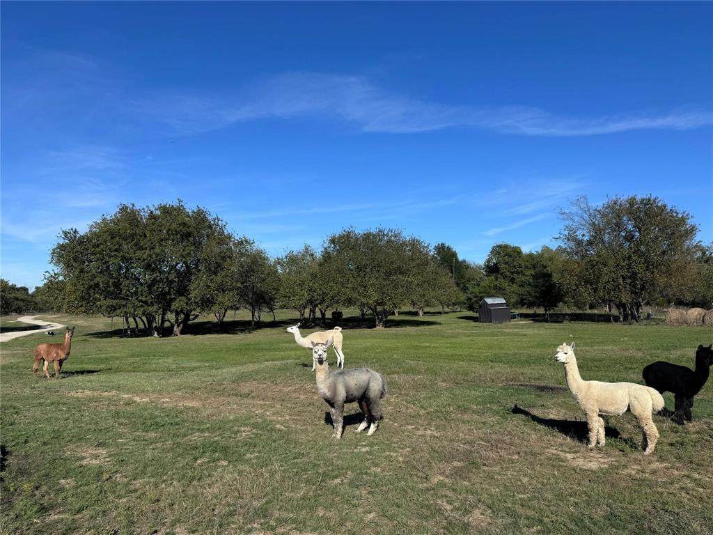 4081 Fm 2736 - Photo 1