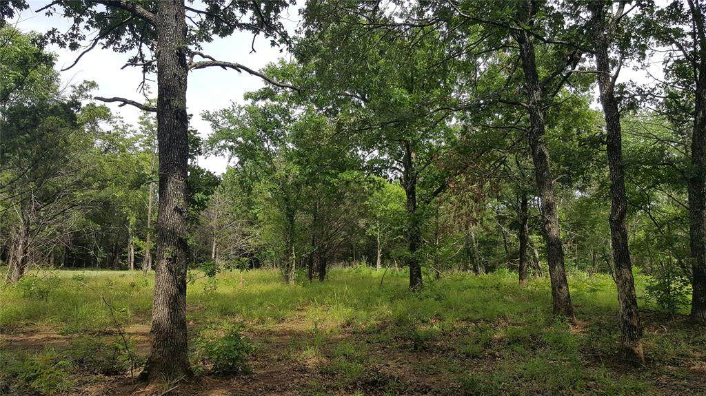 Lot 63 Riner Road - Photo 1