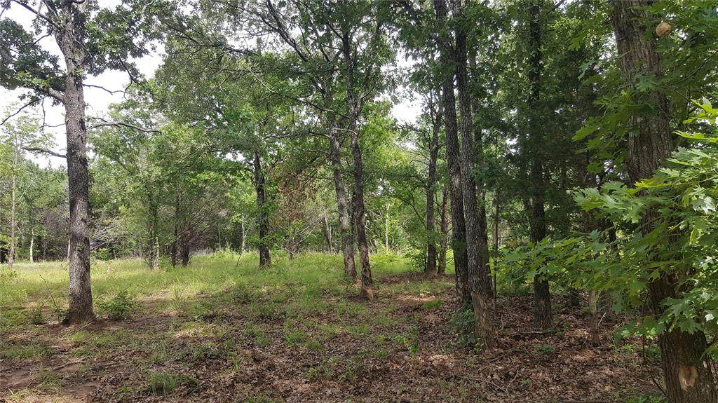Lot 78 Riner Road - Photo 1