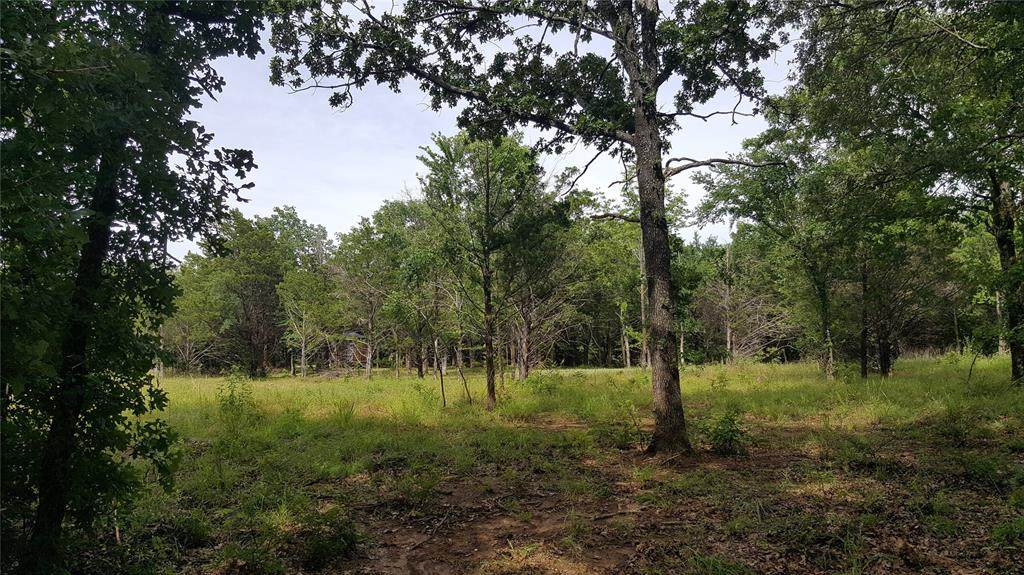 Lot 85 Riner Road - Photo 1