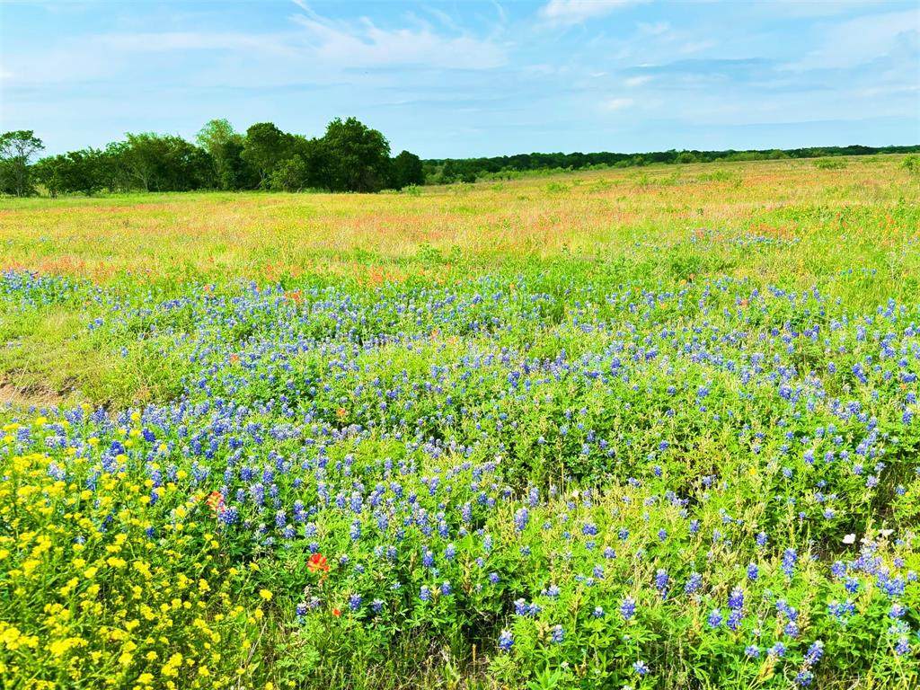TBD PR 373 County Road 3373 - Photo 1