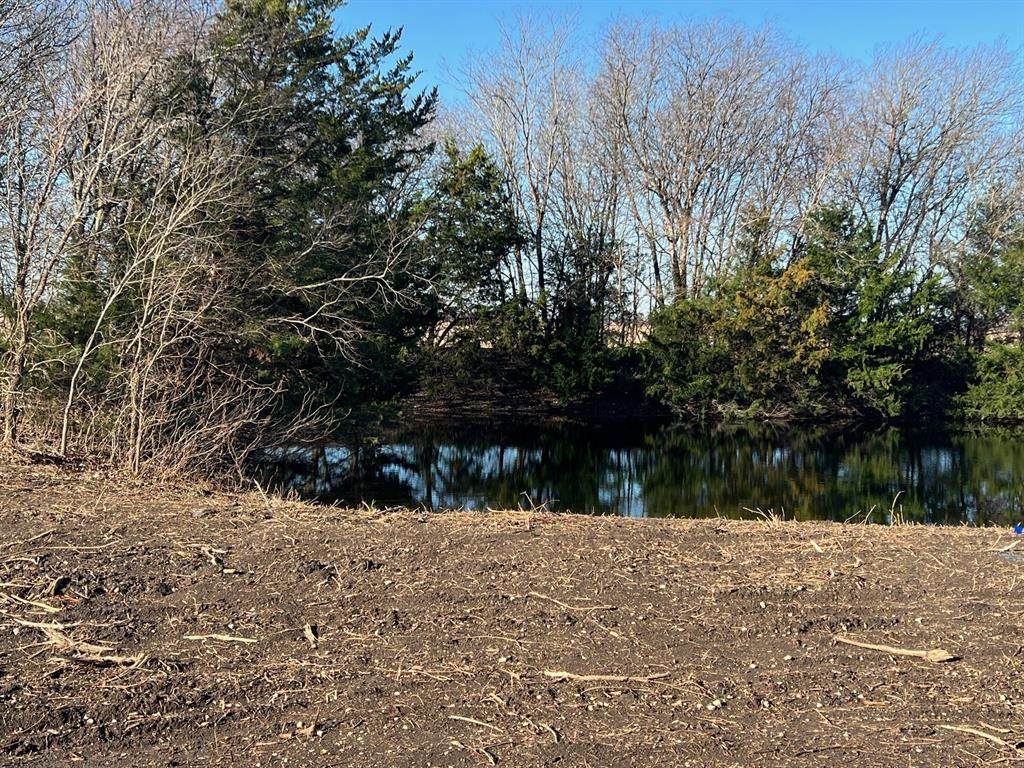 TBD Cotton Belt - Photo 1