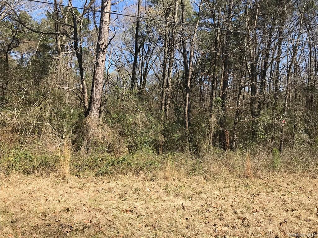9503 Pleasant Hills Drive - Photo 1