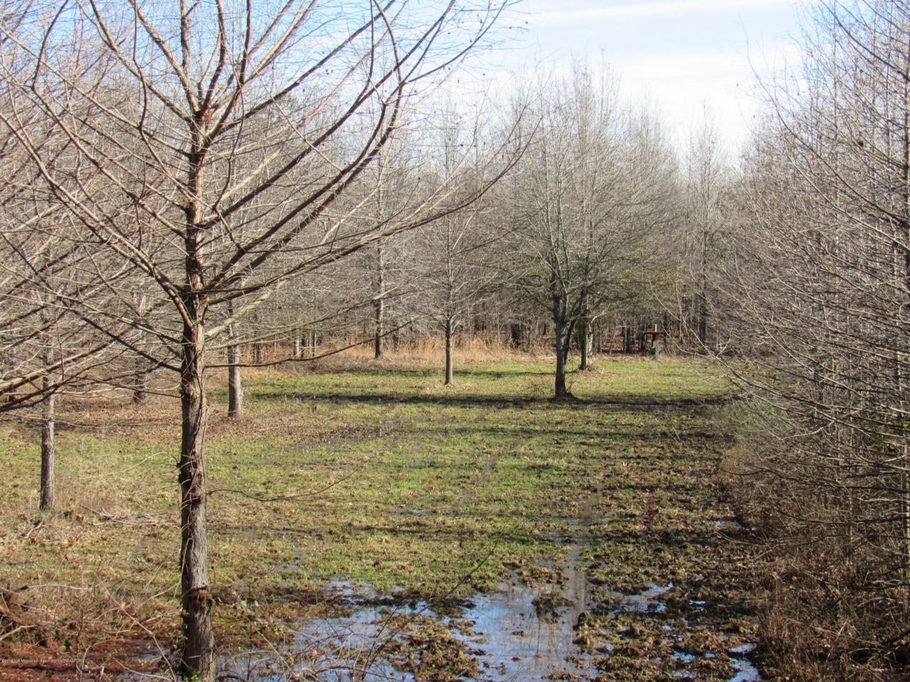 00 Dummyline Road - Photo 1