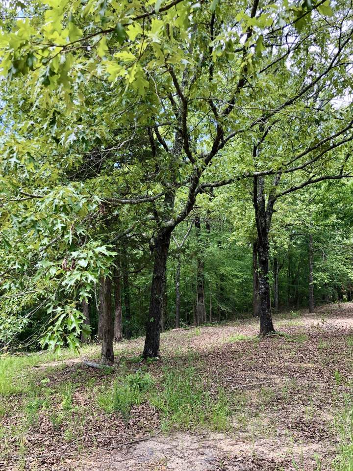 9 Dogwood Ranch Circle - Photo 1