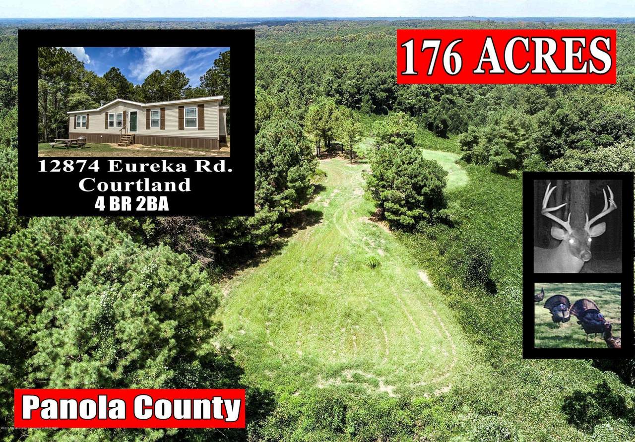 12874 Eureka Road - Photo 1