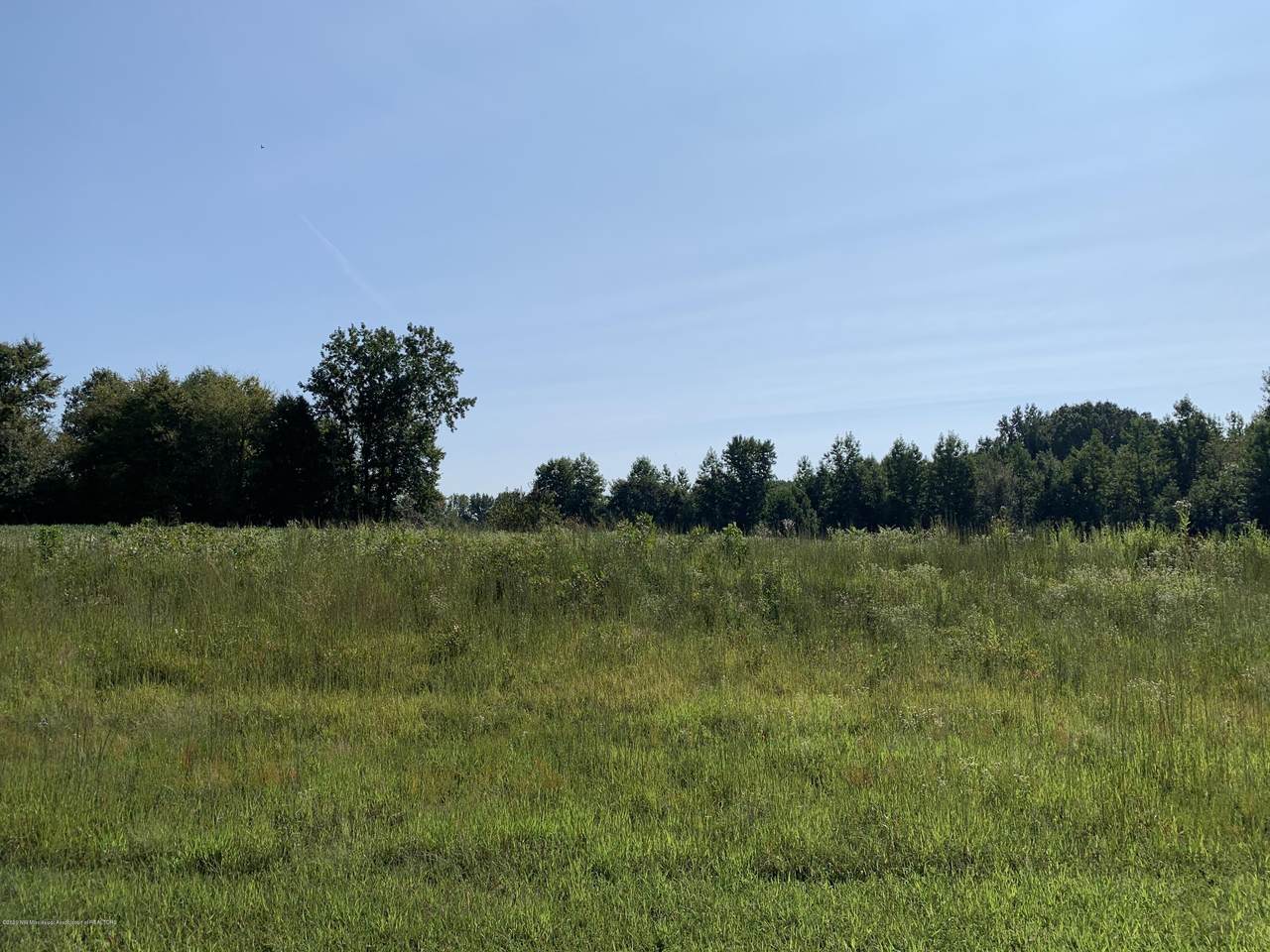 4 Mays Road - Photo 1