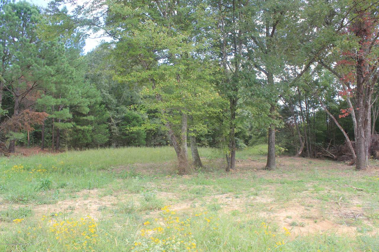 37 Hayward Drive - Photo 1