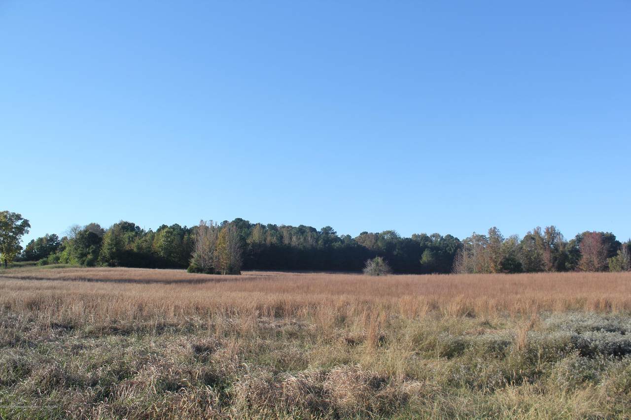 1000 Highway 72 - Photo 1
