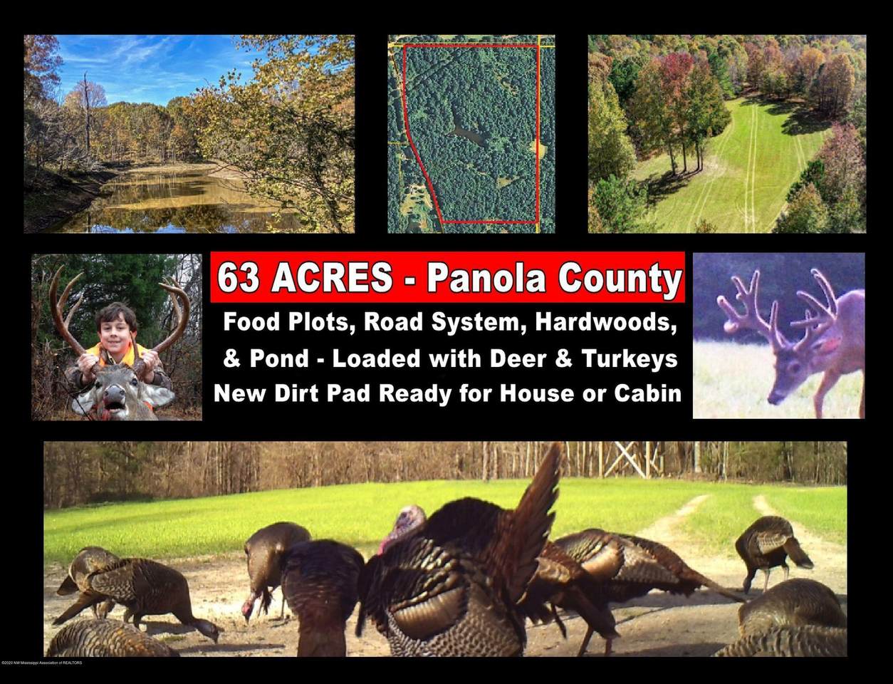 xx Old Panola Road - Photo 1