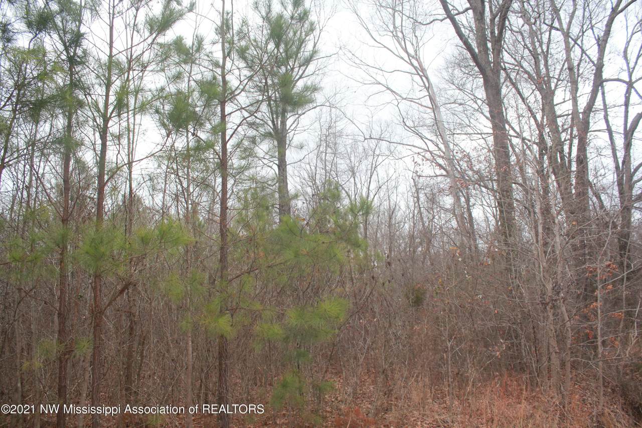 78 Deer Creek Road - Photo 1
