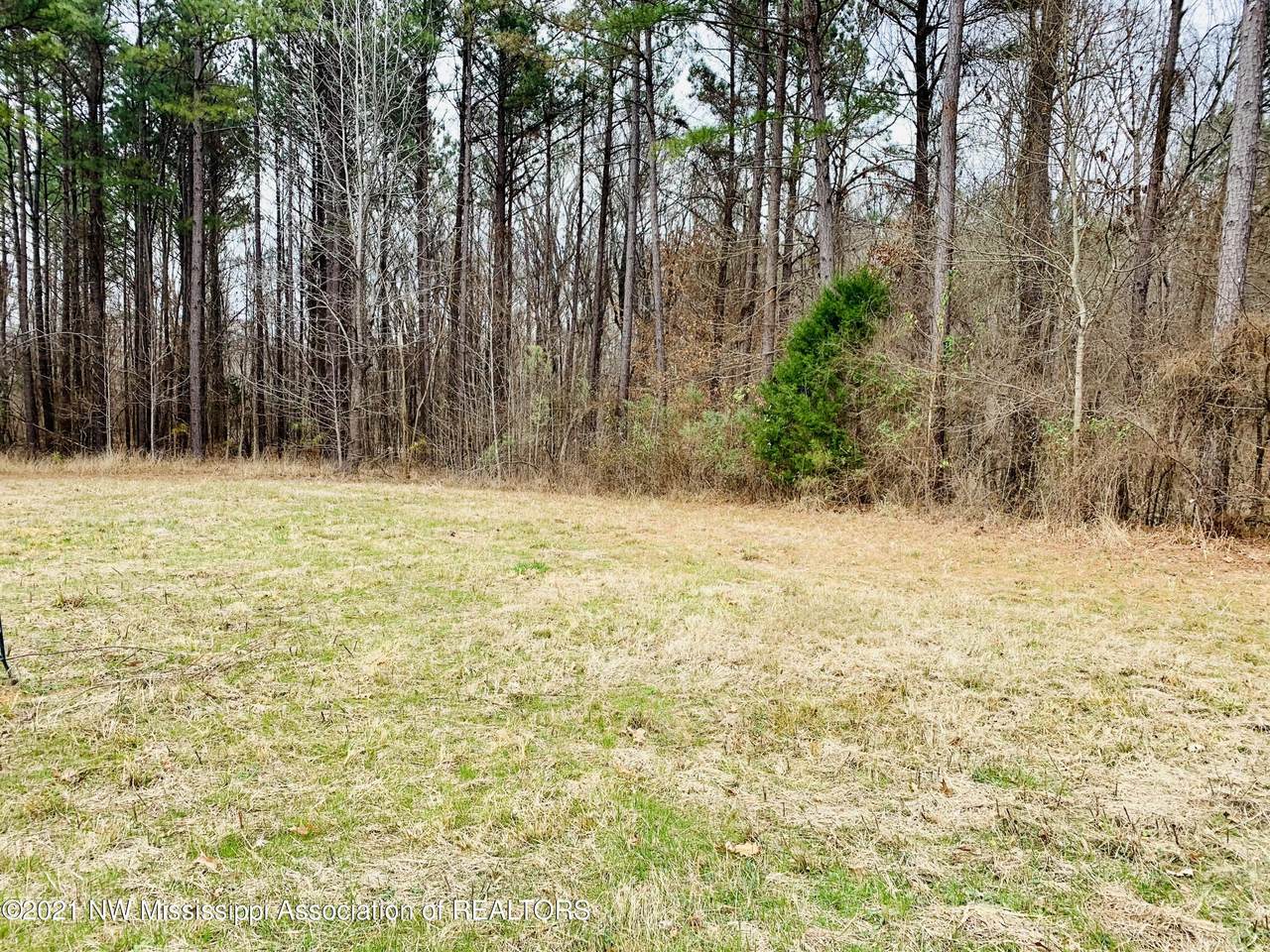 18 Pine Ridge Cove - Photo 1