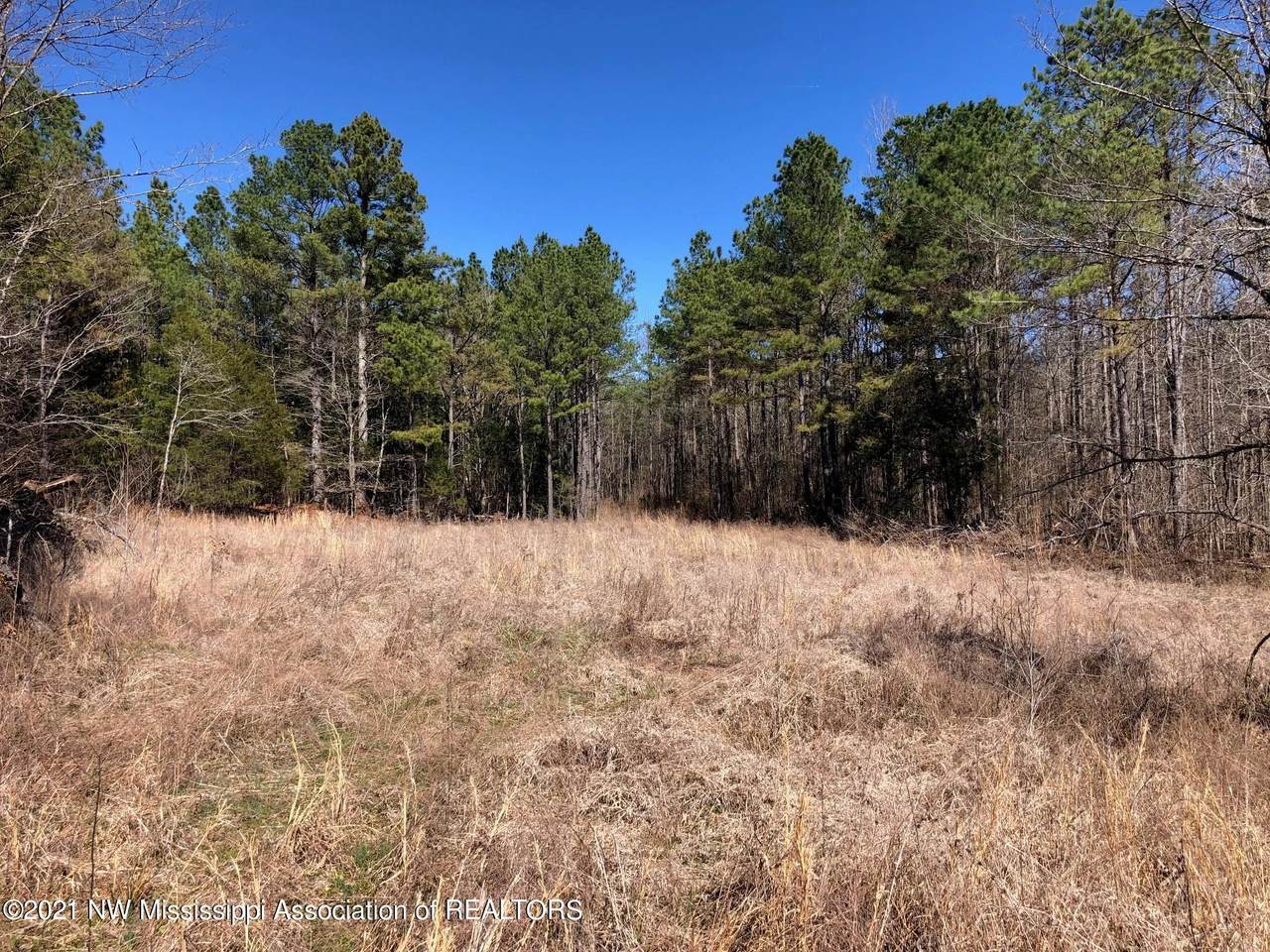1 Co Rd 325 - Photo 1
