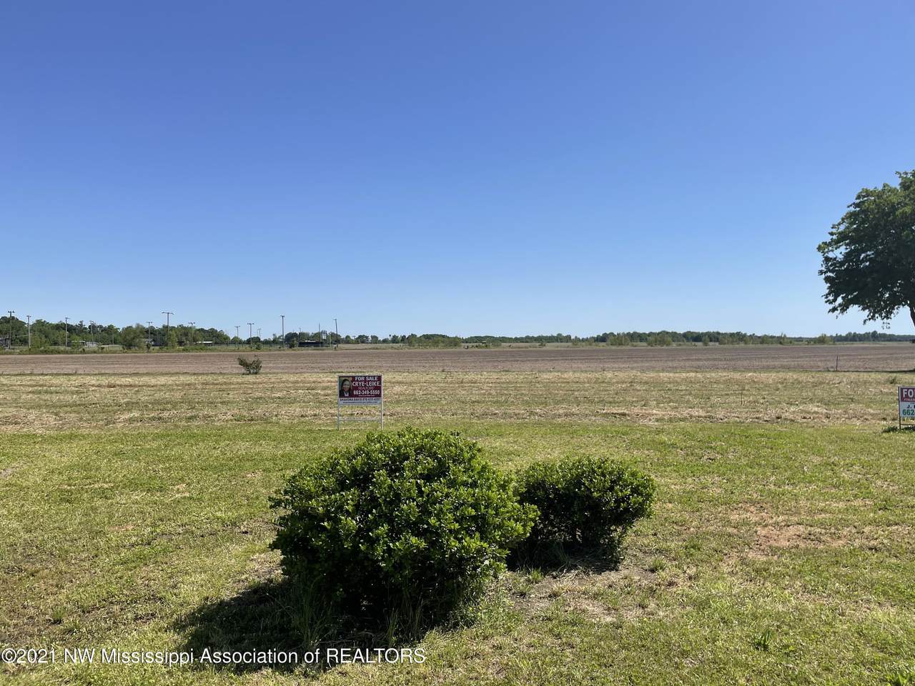 898 Nolan Drive - Photo 1