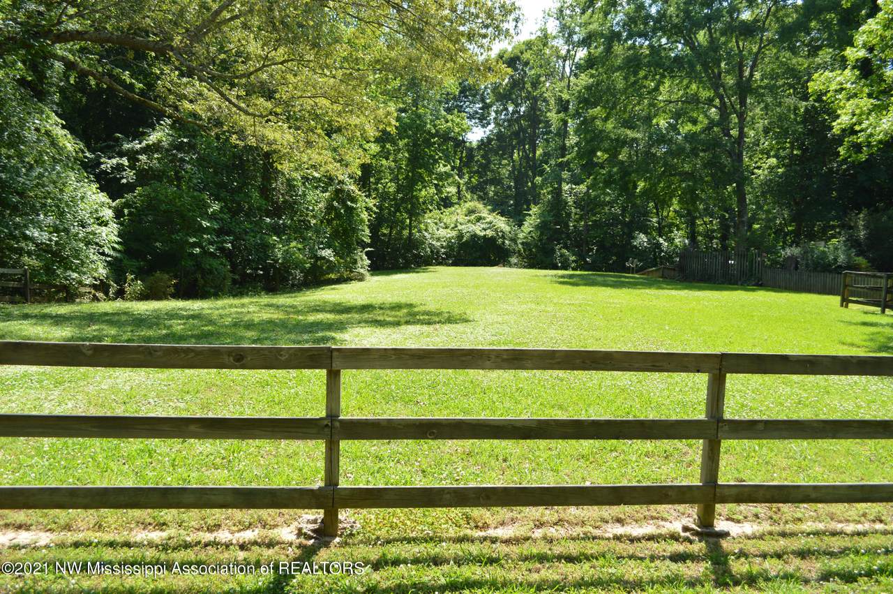 3851 Plum Ridge Road - Photo 1