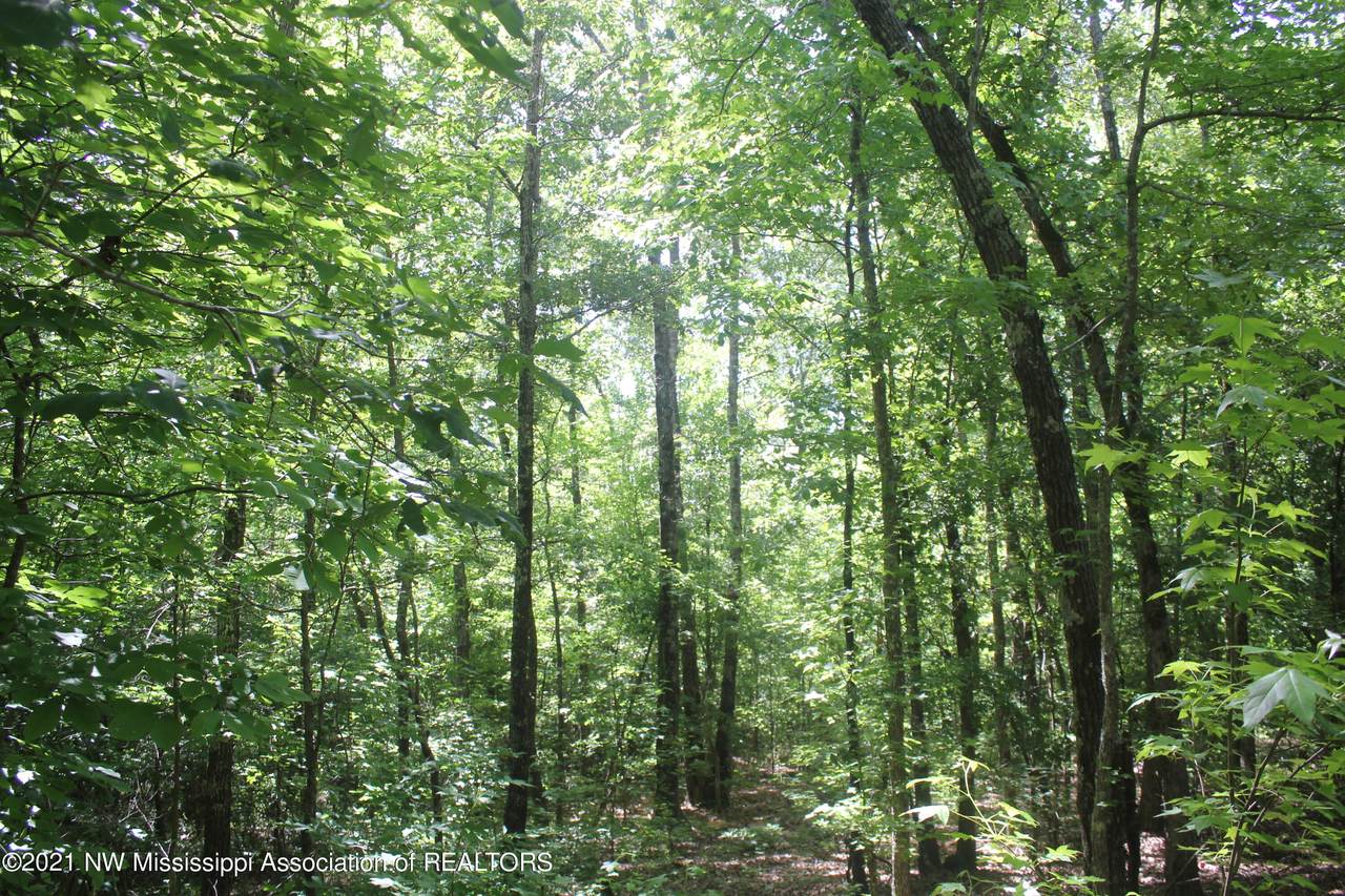 2295 Chapman Road - Photo 1
