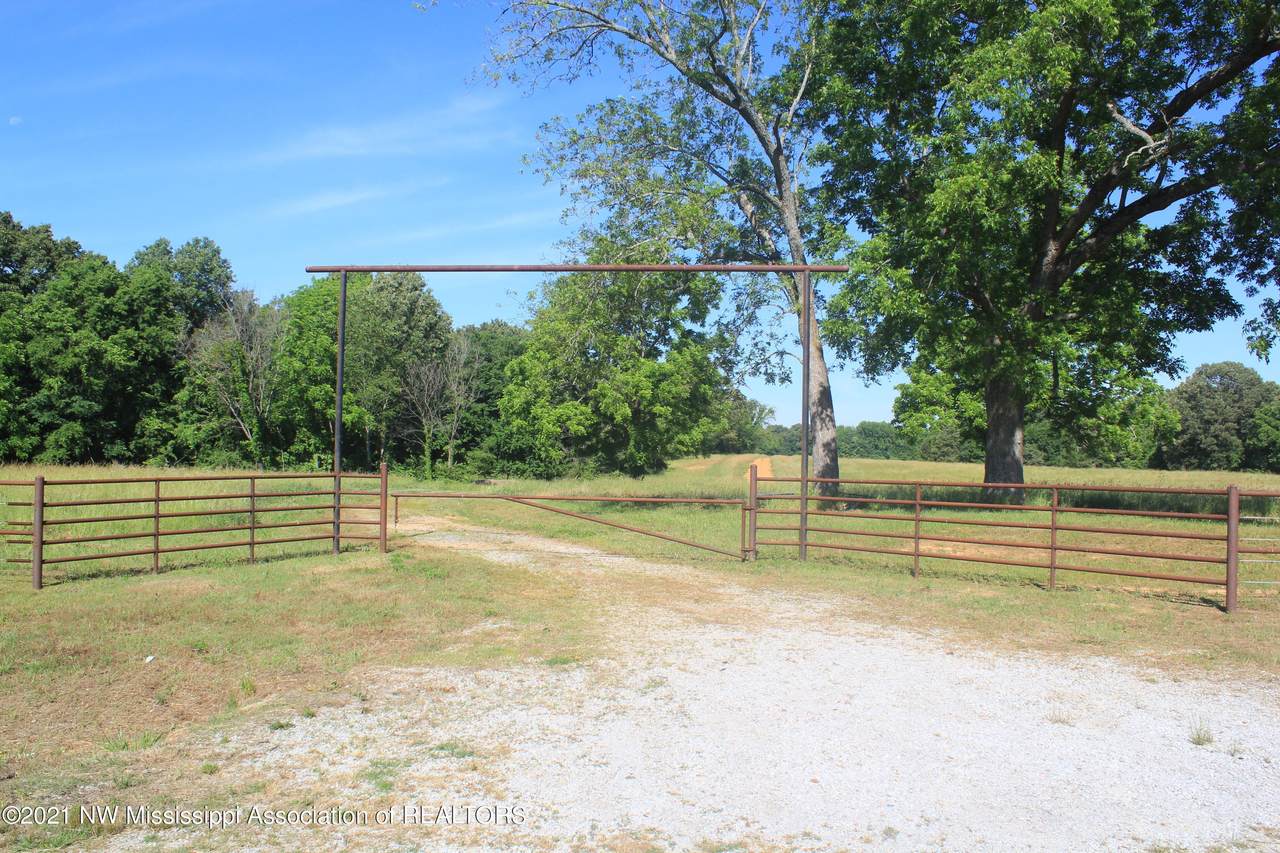 1004 Taska Road - Photo 1