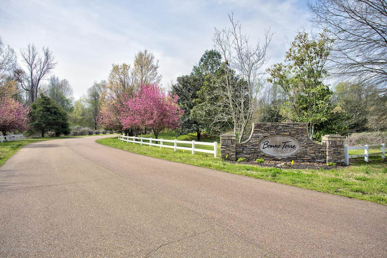 4767 Bonne Terre Drive - Photo 1
