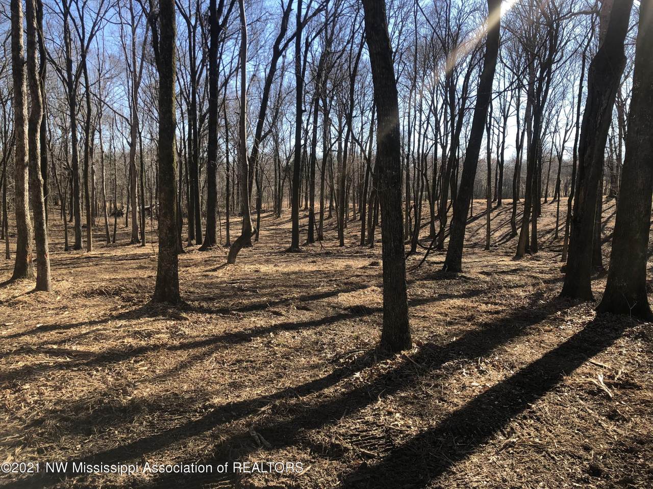 62 Cherrydale Avenue - Photo 1