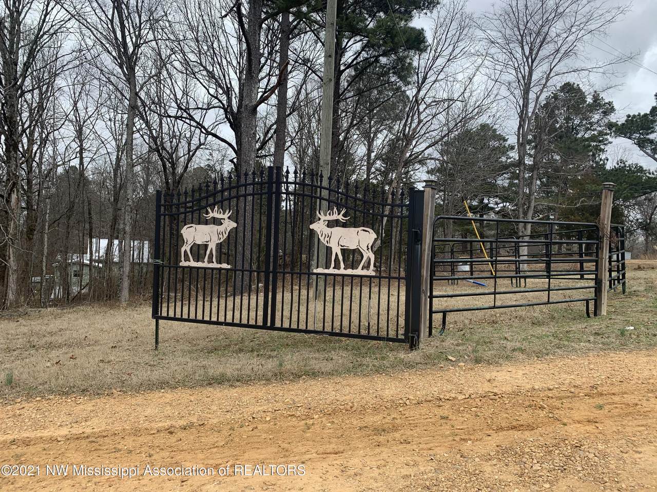 2149 Sardis Lake Drive - Photo 1